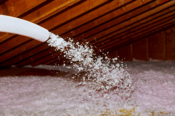 Best Best Insulation Companies  in Calcium, NY