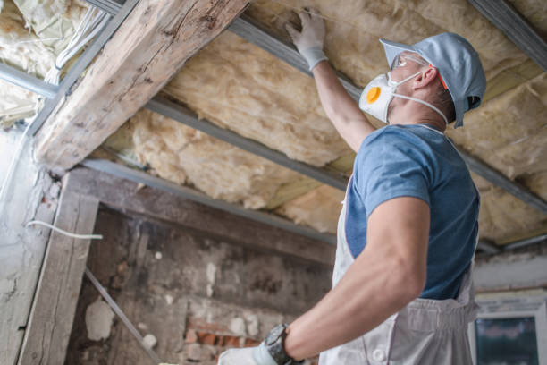 Best Garage Insulation Installation  in Calcium, NY