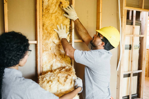 Best Insulation for New Construction  in Calcium, NY