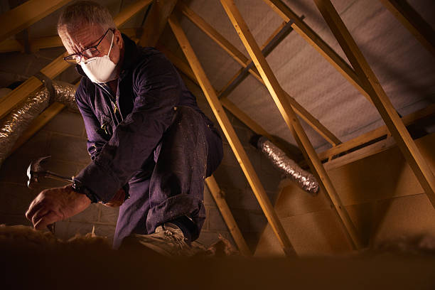 Trusted Calcium, NY Insulation Contractor Experts