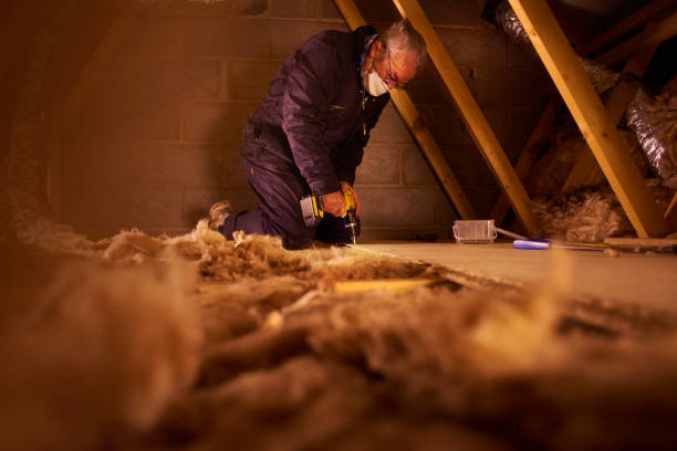 Best Insulation Inspection Services  in Calcium, NY
