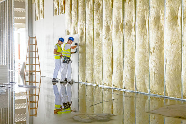 Best Crawl Space Insulation  in Calcium, NY
